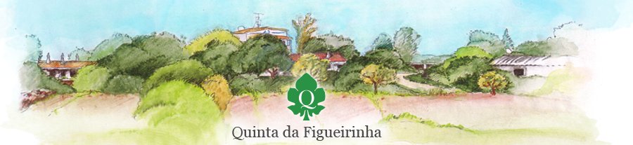 Quinta da Figueirinha